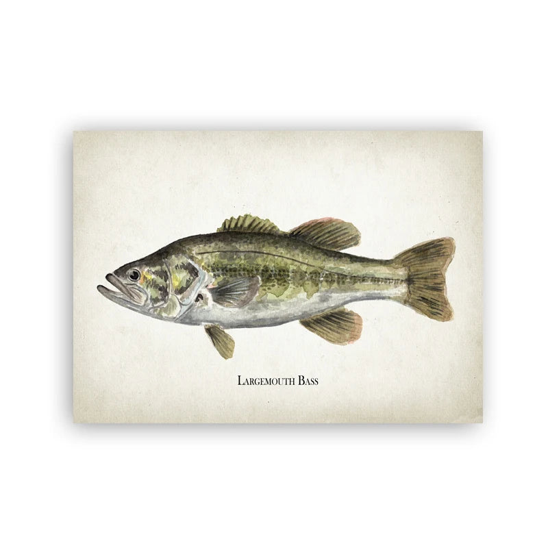 Vintage Fishing Lure Patent Print